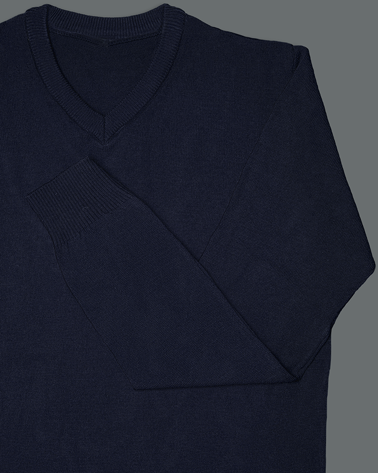 Navy Blue V Neck Slim Fit Jersey