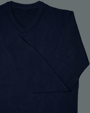 Navy Blue V Neck Slim Fit Jersey