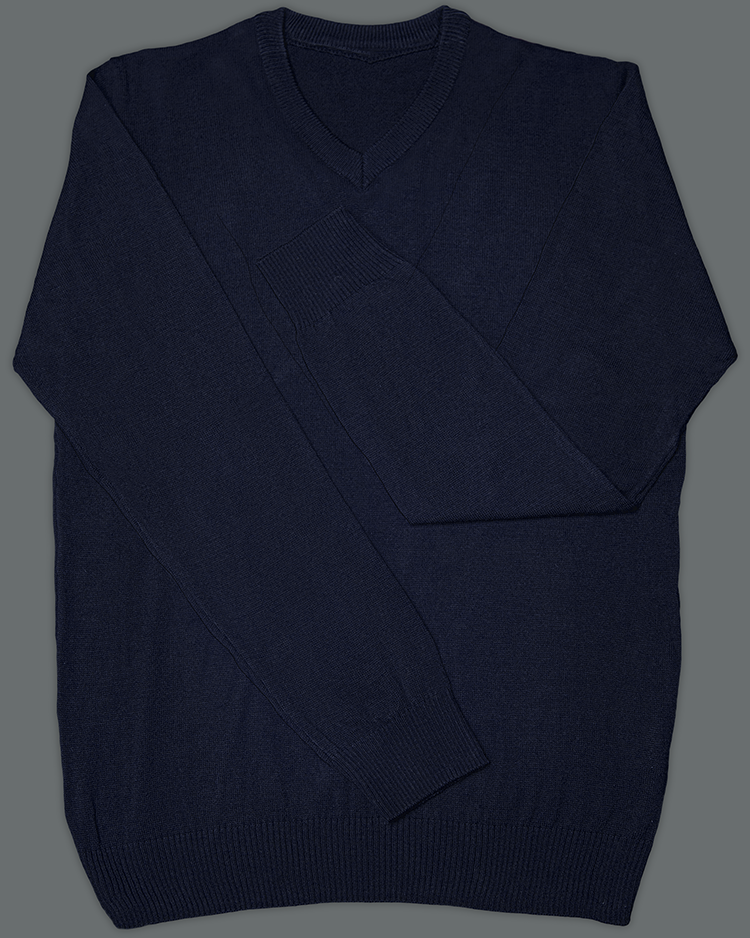 Navy Blue V Neck Slim Fit Jersey