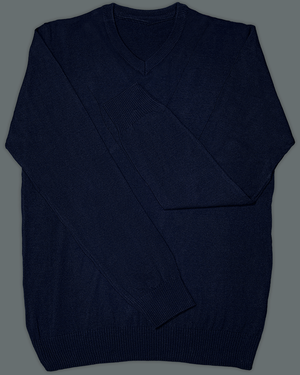 Navy Blue V Neck Slim Fit Jersey