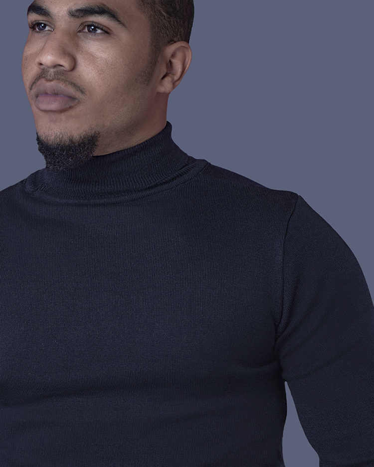 Navy Blue Slim Fit Poloneck